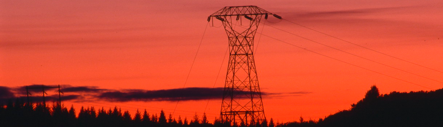 Website graphic slice   poles