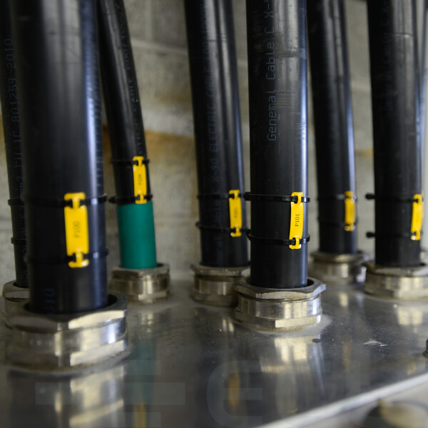 Stainless Steel Cable Glands Unarmoured A2 insitu v2